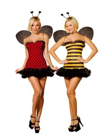 Women's Reversible Bumble Bee/Lady Bug Costume